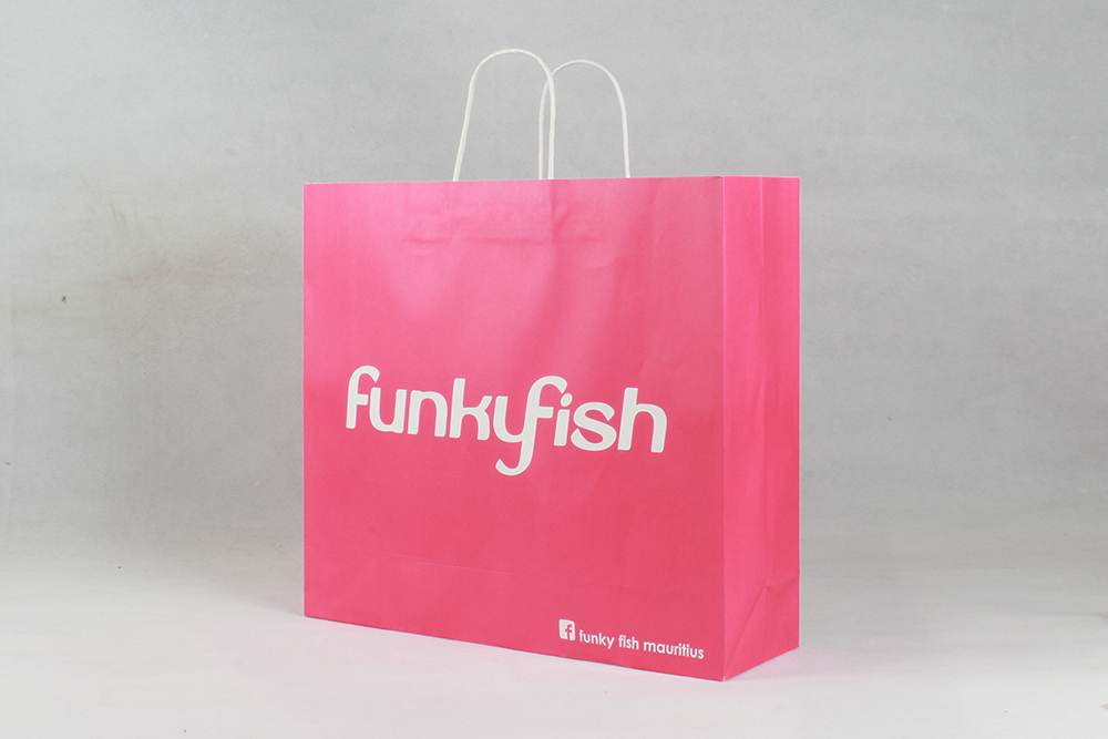 時(shí)尚簡約型牛皮紙袋 funky fish
